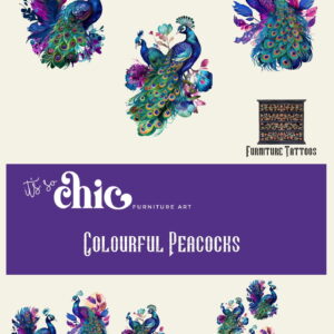 An image showcasing a variety of vibrant butterfly artwork in different designs. Text reads "It's So Chic Furniture Art," "Colourful Butterflies," "Pack 1 - 3 A4 sheets," and "Pack 2 - 1 Sheet about 27cm x 10cm Each." There is also an image of a decorated furniture piece labeled "Furniture Tattoos | Transfers.