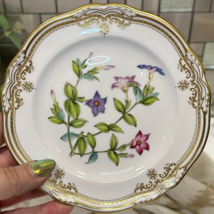 Spode Stafford Flowers Bread & Butter Plate - Tachiadenus - Image 5