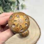 Set 3 Banksia Pod Mushrooms Wooden Fungi Ornaments Natural Decor Gift