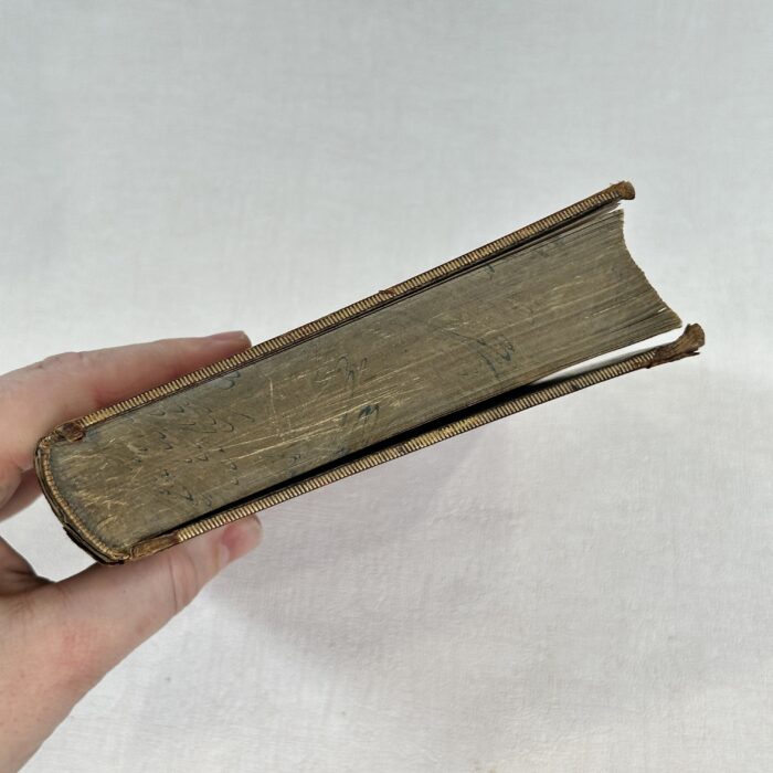 Wonders of the Bird World 1898 Prize Binding R Bowdler Sharpe Ornithology