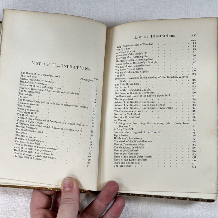 Wonders of the Bird World 1898 Prize Binding R Bowdler Sharpe Ornithology