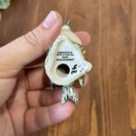 Beswick Goldcrest Bird Figurine England 2415 Vintage China Ornament