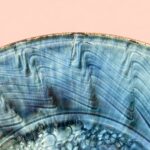 Vintage Michael Kennedy Ram Dish | Irish Studio Pottery | Sligo Art Bowl