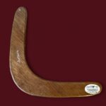 Vintage Aboriginal Boomerang, 16" Hand Painted Lizard, Birubi Art by Trisha Mason