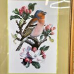 Pair of Framed C.F. Tunnicliffe Bird Prints, Vintage Chaffinch & Bullfinch Art