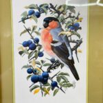 Pair of Framed C.F. Tunnicliffe Bird Prints, Vintage Chaffinch & Bullfinch Art