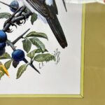 Pair of Framed C.F. Tunnicliffe Bird Prints, Vintage Chaffinch & Bullfinch Art
