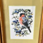 Pair of Framed C.F. Tunnicliffe Bird Prints, Vintage Chaffinch & Bullfinch Art