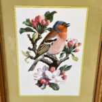 Pair of Framed C.F. Tunnicliffe Bird Prints, Vintage Chaffinch & Bullfinch Art