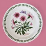 Vintage Portmeirion Botanic Garden Plate, 8.5" Treasure Flower Salad Dish